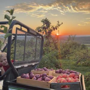 Cobble Knoll Orchard