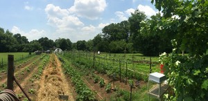 Double N Urban Farm