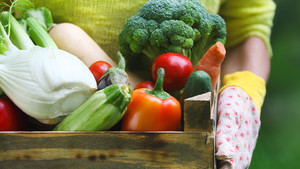Charmingfare Farm CSA