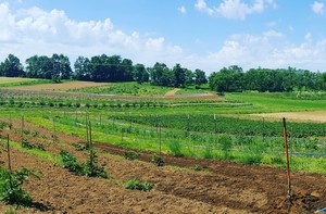 S & L Farm