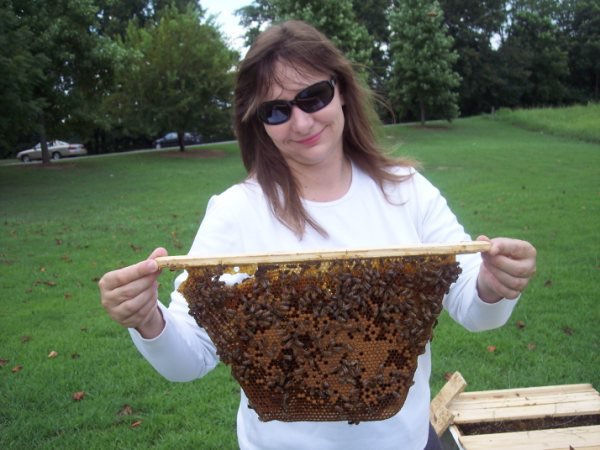 Herrin's Apiary