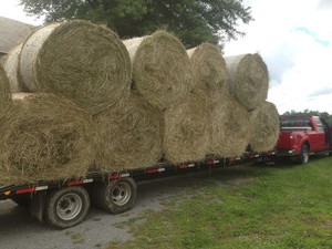 Ohio Organic Farms,Inc
