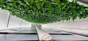 HydrOrganic Farms