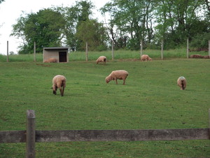 Pleasant Valley Farm