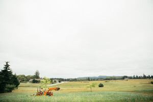 Starbird Farm