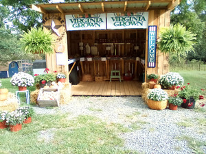 Old Rag Gardens