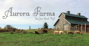 Aurora Farms
