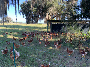 Valley Line Ranch