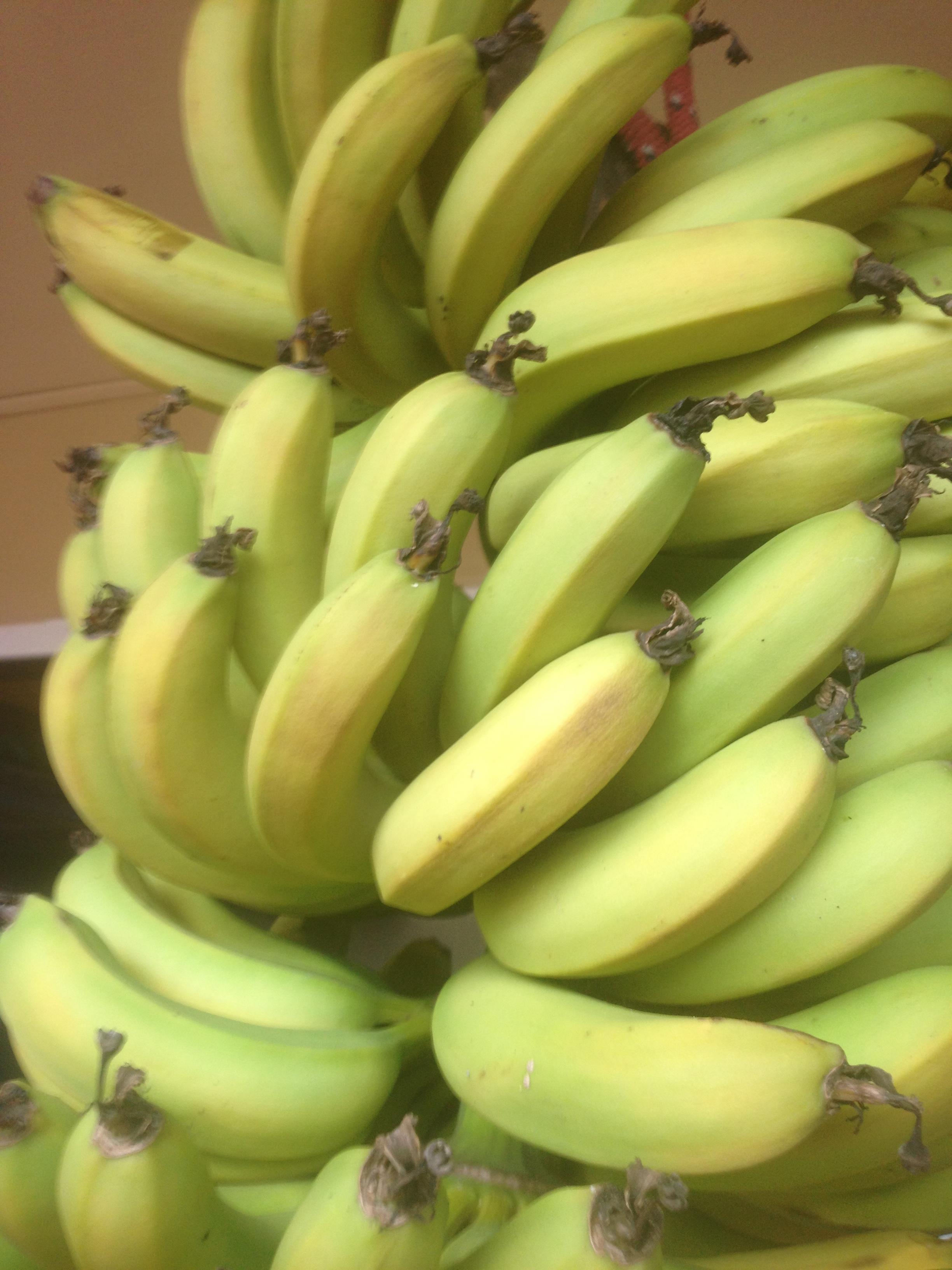 bananas 012.JPG