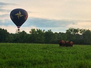 Kilcoyne Farms
