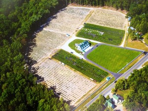 DiMeo Farms & Blueberry Plants Nursery