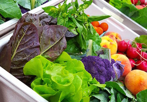 Rustic Roots Delivery- Organic Home Delivery