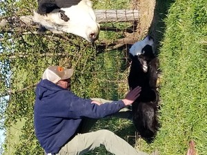 Lil' Hat Farm