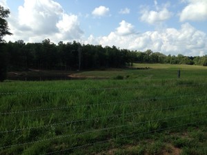 Puddle Moon Farm