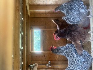 Lazy A-cres Farm