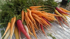 Locust Farmers Market