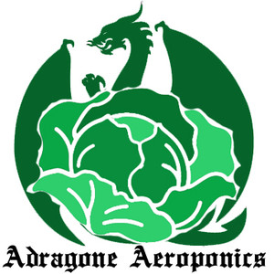 Adragone Aeroponics