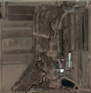 Morgan Creek Produce