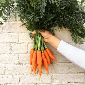 Pink Elephant Farm & Kitchen