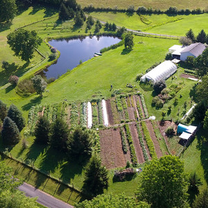 Geezer Farm