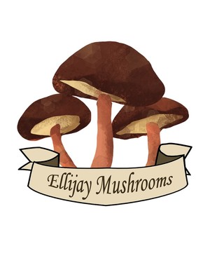Ellijay Mushrooms