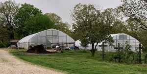 Webster Farms