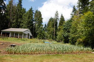 Crow Haven Farm
