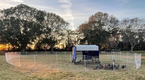 South Shore Farm and Fish