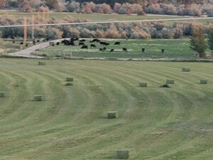 WS Ranch