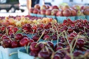 Trapani Farms LLC