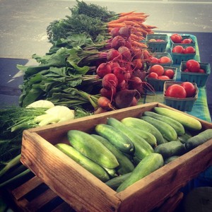 Down To Earth Harvest