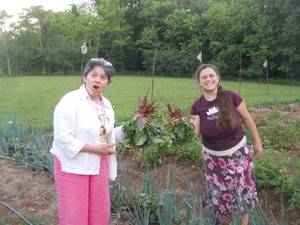 Sister Nettle Herbs & Flowers