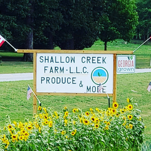 Shallow Creek Farm