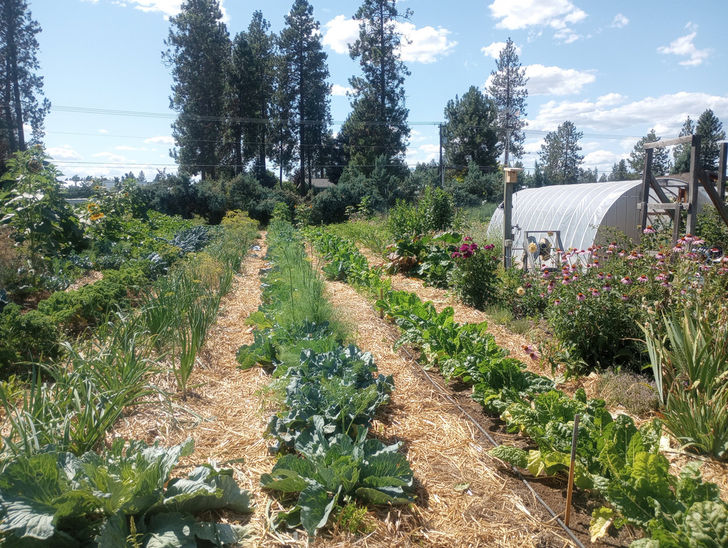 Groffmans Fresh Produce Localharvest