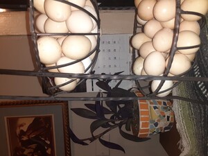 Local eggs