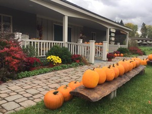 Quest Farm Produce
