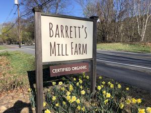 Barrett's Mill Farm