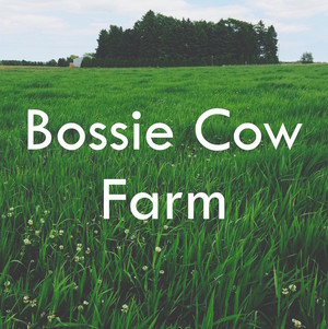 Bossie Cow Farm