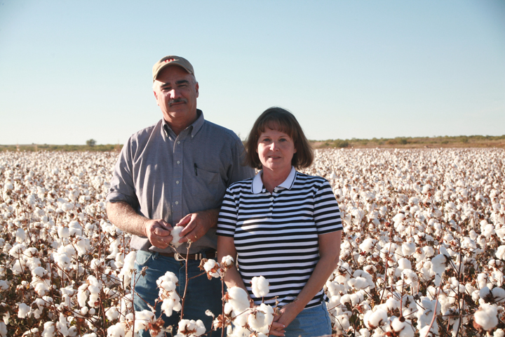 SOS From Texas Organic Cotton Products - LocalHarvest