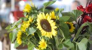 Marianna City Farmers Market