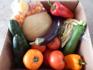 Linden Hill Farm CSA