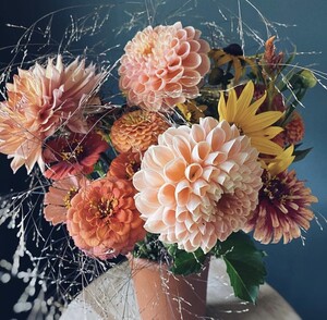 Persephone Flowers