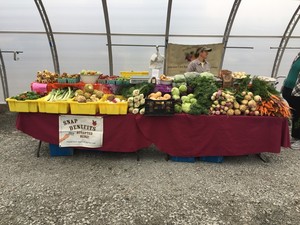 Chamberlain Acres Farmers Market