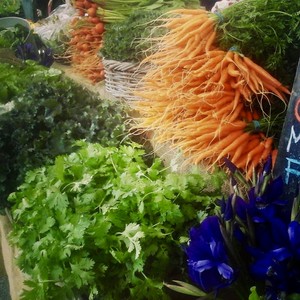 Schooner Creek Farm