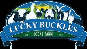 Lucky Buckles
