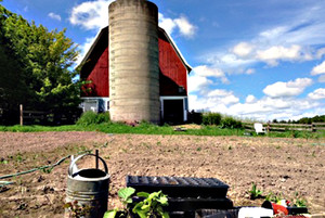 Basswood Hill Organics