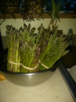 My Grandpa's Farm
