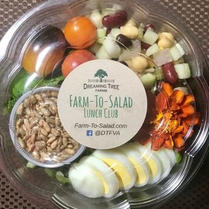 Farm-To-Salad Club