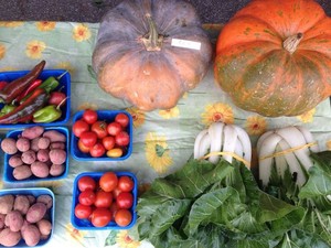 Cedar Valley Farmer's Market