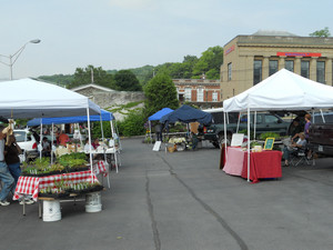 Little Falls Farmers and Flea Market